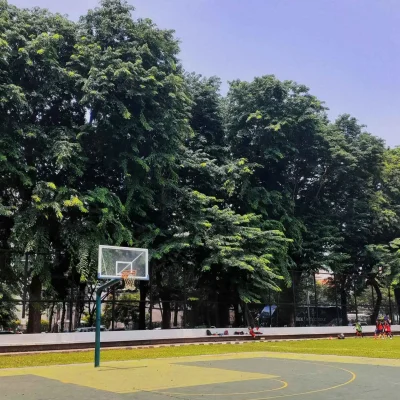 Baksteball Court